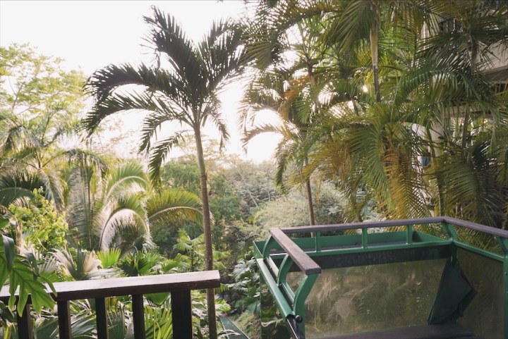 D464F3DE-CF09-4BA4-8D97-BBB9D0F4F9AF